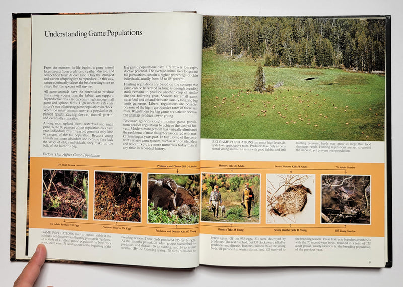 The Art of Hunting