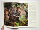The Ruffed Grouse