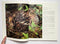 The Ruffed Grouse