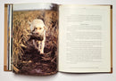 Grouse of North America: A Cross-Continental Hunting Guide