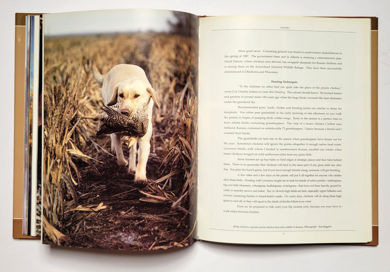 Grouse of North America: A Cross-Continental Hunting Guide