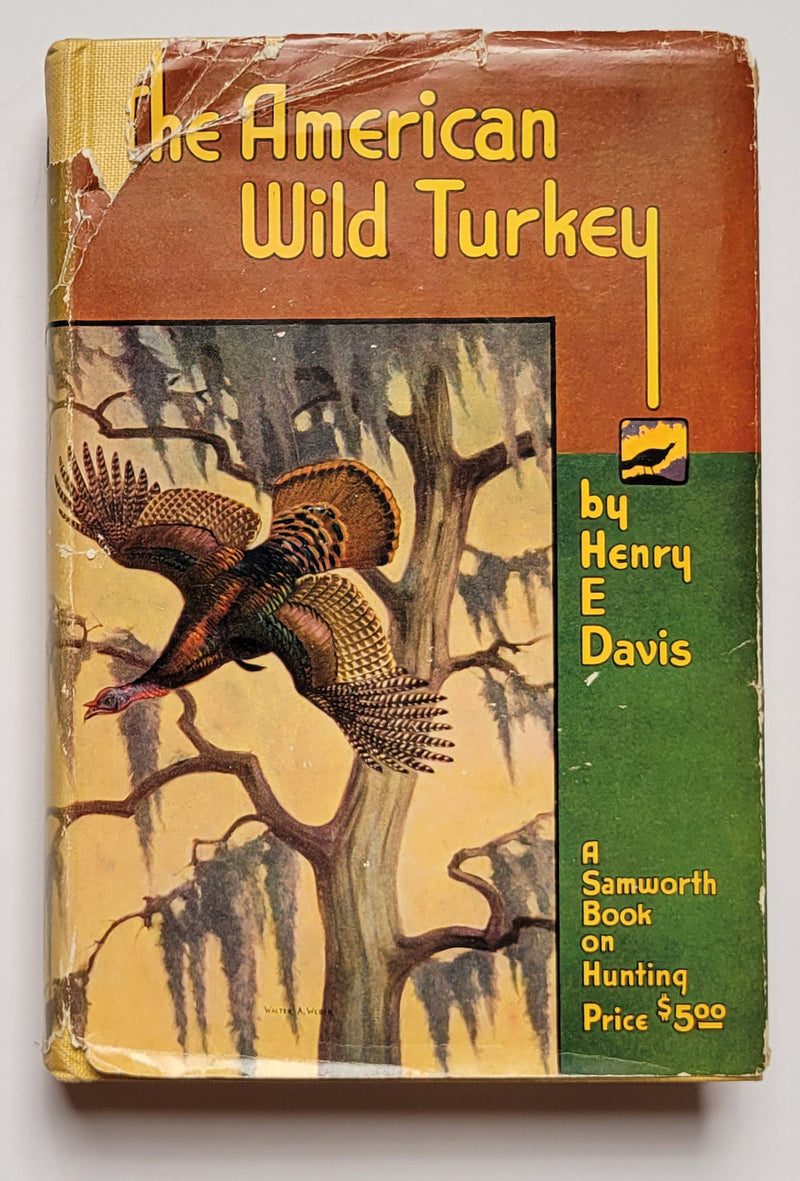 The American Wild Turkey