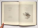 Grouse Feathers