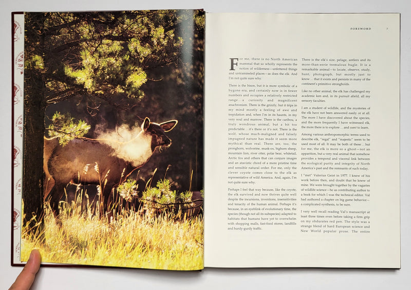 Elk Country