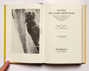 Hunting the Alaska Brown Bear