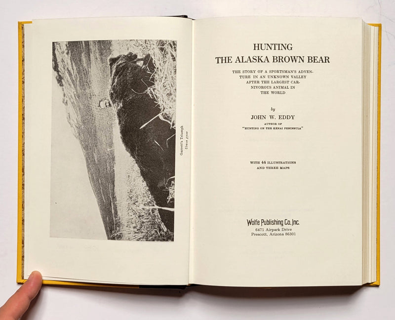 Hunting the Alaska Brown Bear