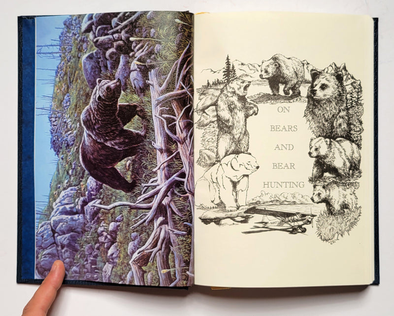 On Bears and Bear Hunting
