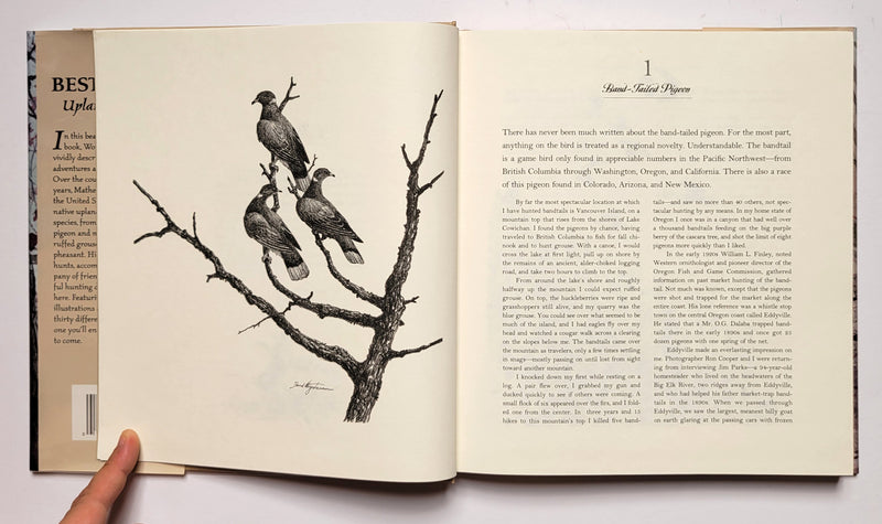 Best Birds: Upland & Shore