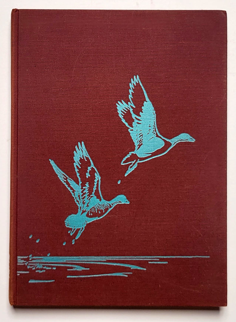 The Geese Fly High