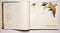 The Shape of Things: The Art of Francis Lee Jaques