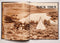 Back Then: A Pictorial History of Americans Afield