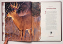 Secrets of the Whitetail Pros