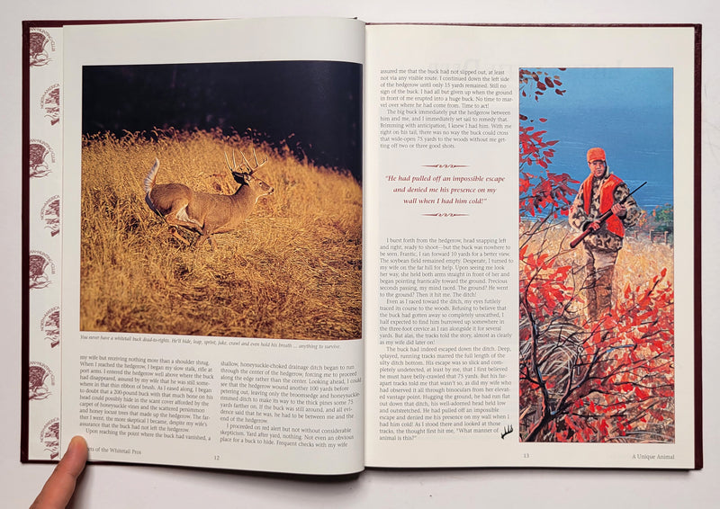 Secrets of the Whitetail Pros