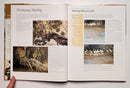 Painting Wildlife