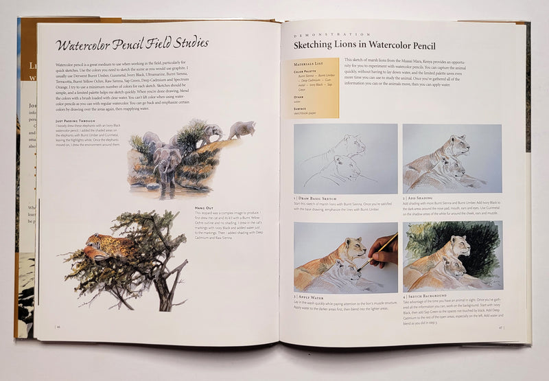 Painting Wildlife