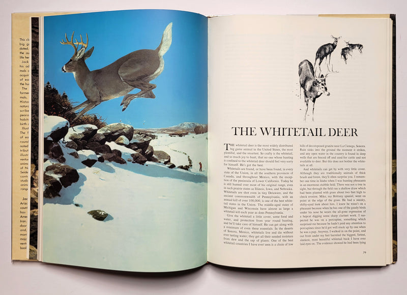 The Big Game Animals of North America