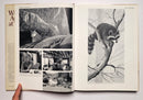 Wildlife Artists at Work