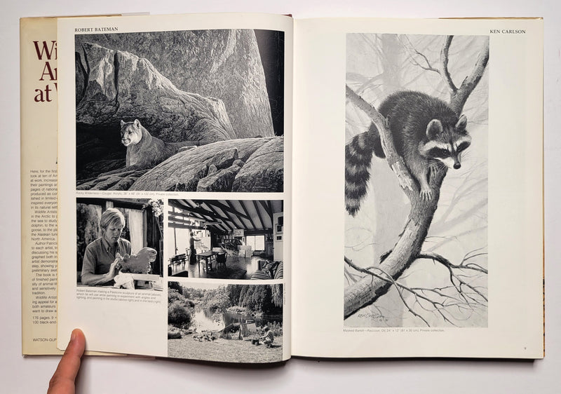 Wildlife Artists at Work