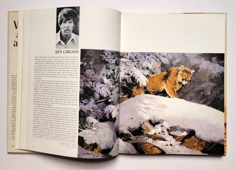 Wildlife Artists at Work