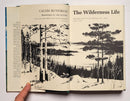 The Wilderness Life