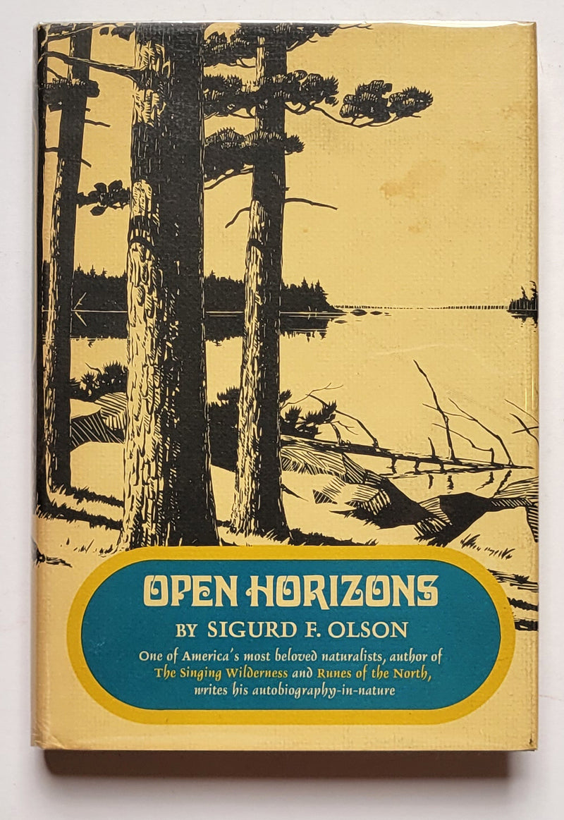Open Horizons