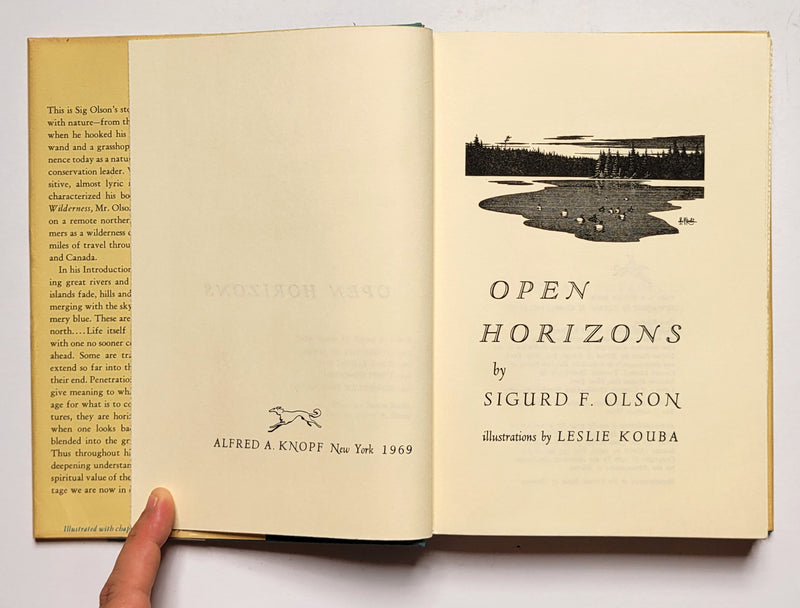 Open Horizons