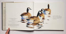 Killen: The Art of Jim Killen