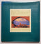 By Chance?: Landscapes from the Canvas of the Creator