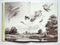 Open Season: An Artist’s Sporting Year