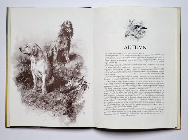 Open Season: An Artist’s Sporting Year