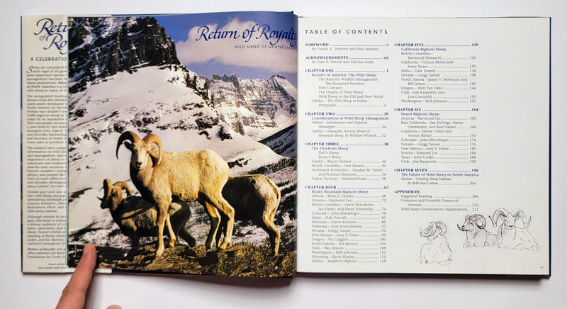 Return of Royalty: Wild Sheep of North America