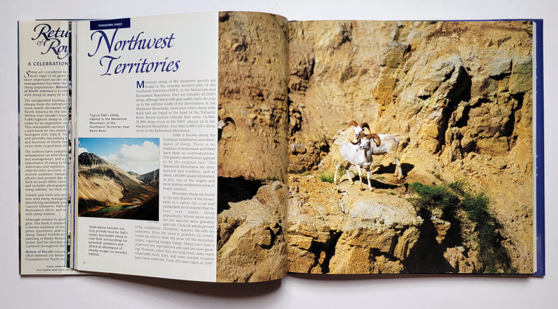 Return of Royalty: Wild Sheep of North America