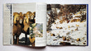 Return of Royalty: Wild Sheep of North America