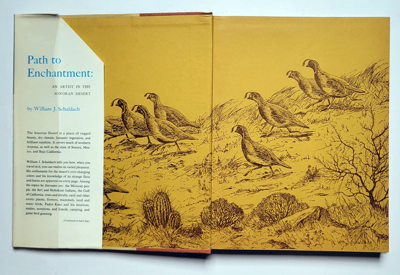 Path to Enchantment: An Artist in the Sonoran Desert