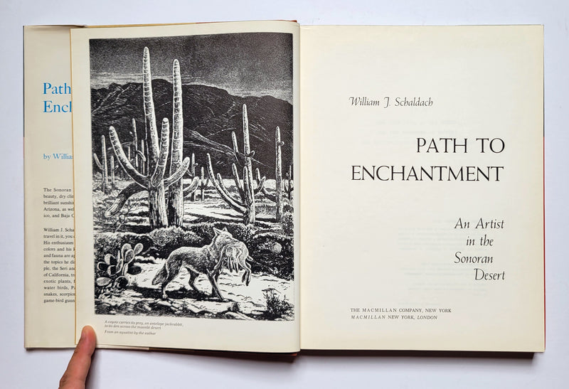 Path to Enchantment: An Artist in the Sonoran Desert