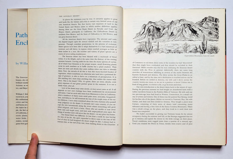 Path to Enchantment: An Artist in the Sonoran Desert