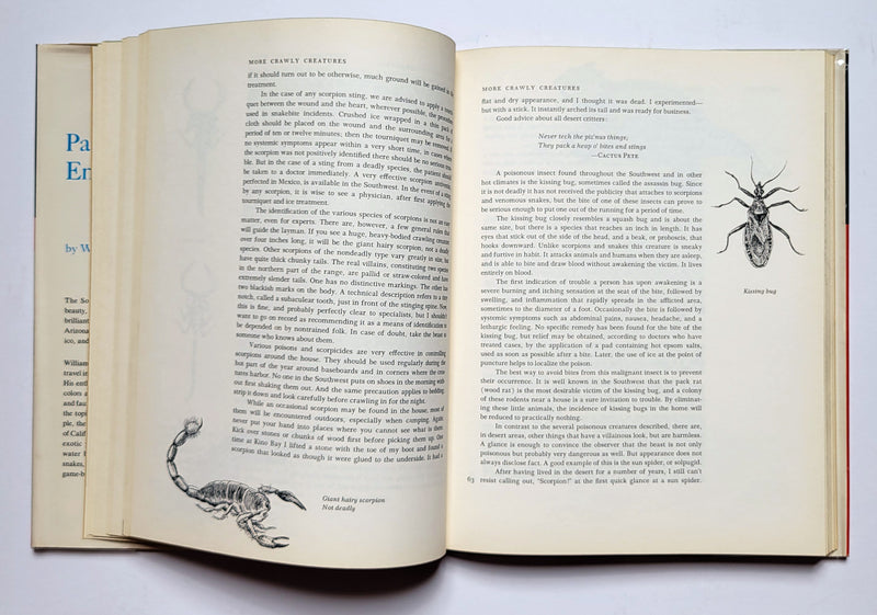 Path to Enchantment: An Artist in the Sonoran Desert