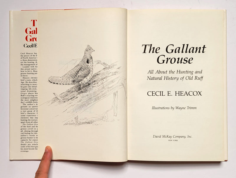 The Gallant Grouse