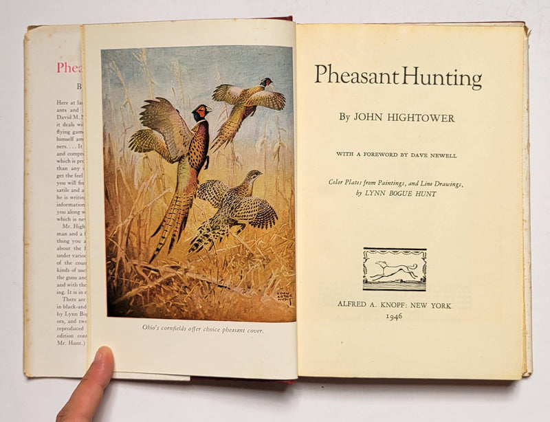 Pheasant Hunting