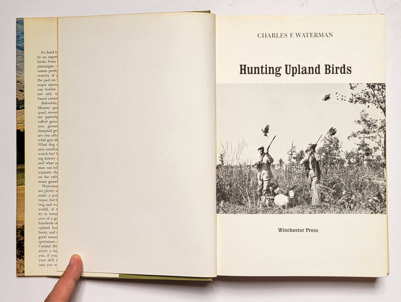 Hunting Upland Birds