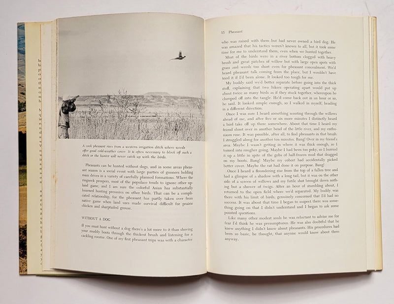 Hunting Upland Birds