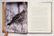 Grouse of North America: A Cross-Continental Hunting Guide