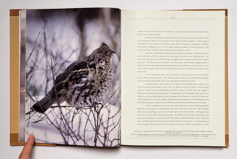 Grouse of North America: A Cross-Continental Hunting Guide