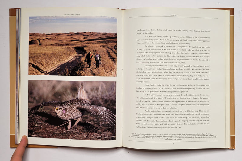 Grouse of North America: A Cross-Continental Hunting Guide