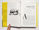 Africa 41