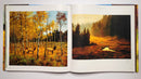 Homefields: The Art of Lanford Monroe