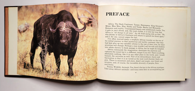 The African Book