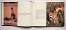 The African Book