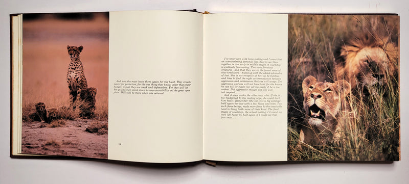 The African Book