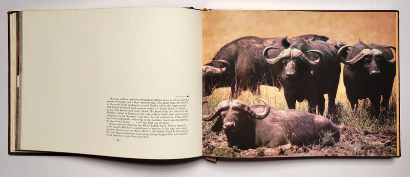 The African Book